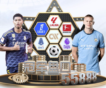 邮报：埃弗顿计划改造球迷广场，用于举办演唱会和音乐节